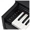 CASIO Celviamo AP-S200 8923