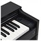 CASIO Celviamo AP-S200 8923