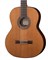 Kremona F65C Cedar Fiesta Soloist Series 5177
