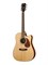 CORT MR500E-OP 4176