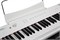 Artesia Performer 4860