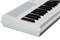 Artesia Performer 4860