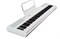 Artesia Performer 4860