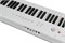 Artesia Performer 4860