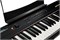 Artesia Performer 4860