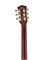 CORT CR250 5075