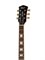 CORT CR300 5077