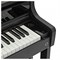 CASIO Celviano AP-750 9206