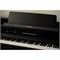 CASIO Celviano AP-750 9206