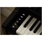 CASIO Celviano AP-750 9206