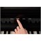 CASIO Celviano AP-750 9206
