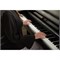CASIO Celviano AP-750 9206