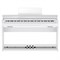 CASIO Celviano AP-S450 9207