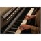 CASIO Celviano AP-S450 9207