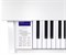CASIO  Celviano GP-310 5038