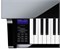 CASIO Celviano GP-510BP 9208