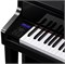 CASIO Celviano GP-510BP 9208