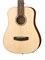 Cort Earth-GO-wbag 8982