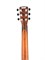 Cort Earth-GO-wbag 8982