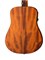 Cort Earth-GO-wbag 8982