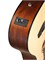 Cort Earth-GO-wbag 8982