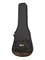 Cort Earth-GO-wbag 8982