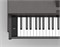 Artesia DP-30 9000