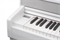 Becker BAP-62 5675