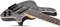Schecter C-5 Standard CS 5 9217