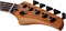 Schecter C-5 Standard CS 5 9217