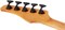 Schecter C-5 Standard CS 5 9217