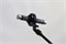 AuraSonics AP22-MP 9221