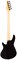 Schecter C-5 Standard CS 5 9217