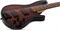 Schecter C-5 Standard CS 5 9217