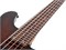 Schecter C-5 Standard CS 5 9217