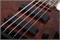 Schecter C-5 Standard CS 5 9217
