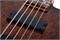 Schecter C-5 Standard CS 5 9217