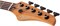 Schecter C-5 Standard CS 5 9217