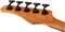 Schecter C-5 Standard CS 5 9217