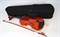 Karl Hofner AS-045-V 4/4 9238