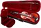 Karl Hofner AS-060 3/4 9239
