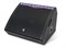 AuraSonics SOLO D12M 9264