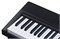 Medeli SP-A500 9280