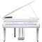 Medeli Grand 510 8459