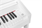 Artesia PA-Cadence 9284